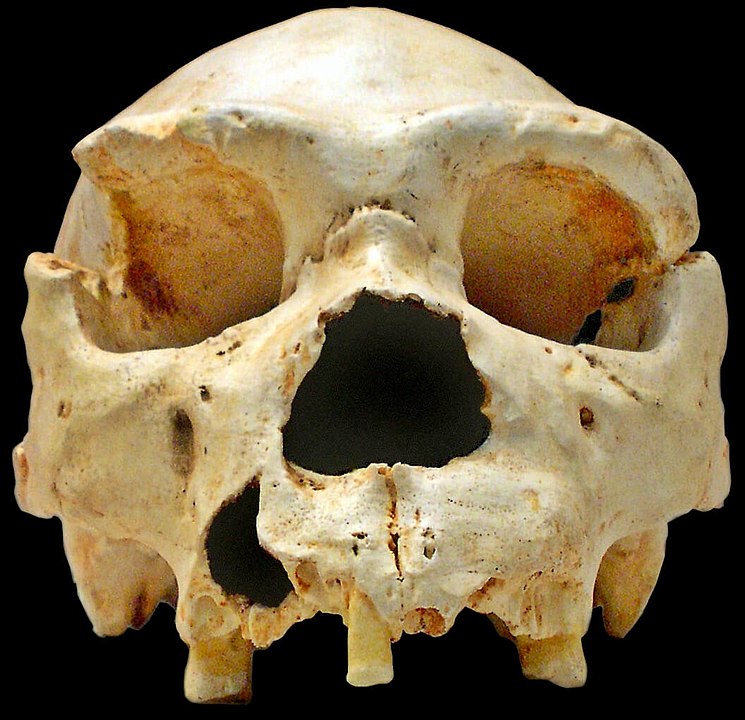 prehistoria en españa para niños