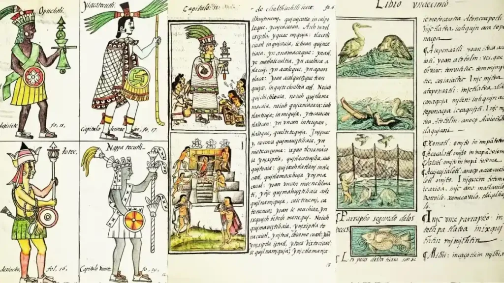 Ilustraciónes del Códice Florentino de Sahagún
